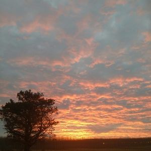 Meet your Posher, Jeanne